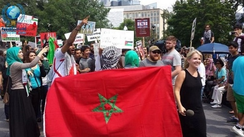 المغاربة يتصدرون قائمة الحاصلين على الجنسيات الأوروبية